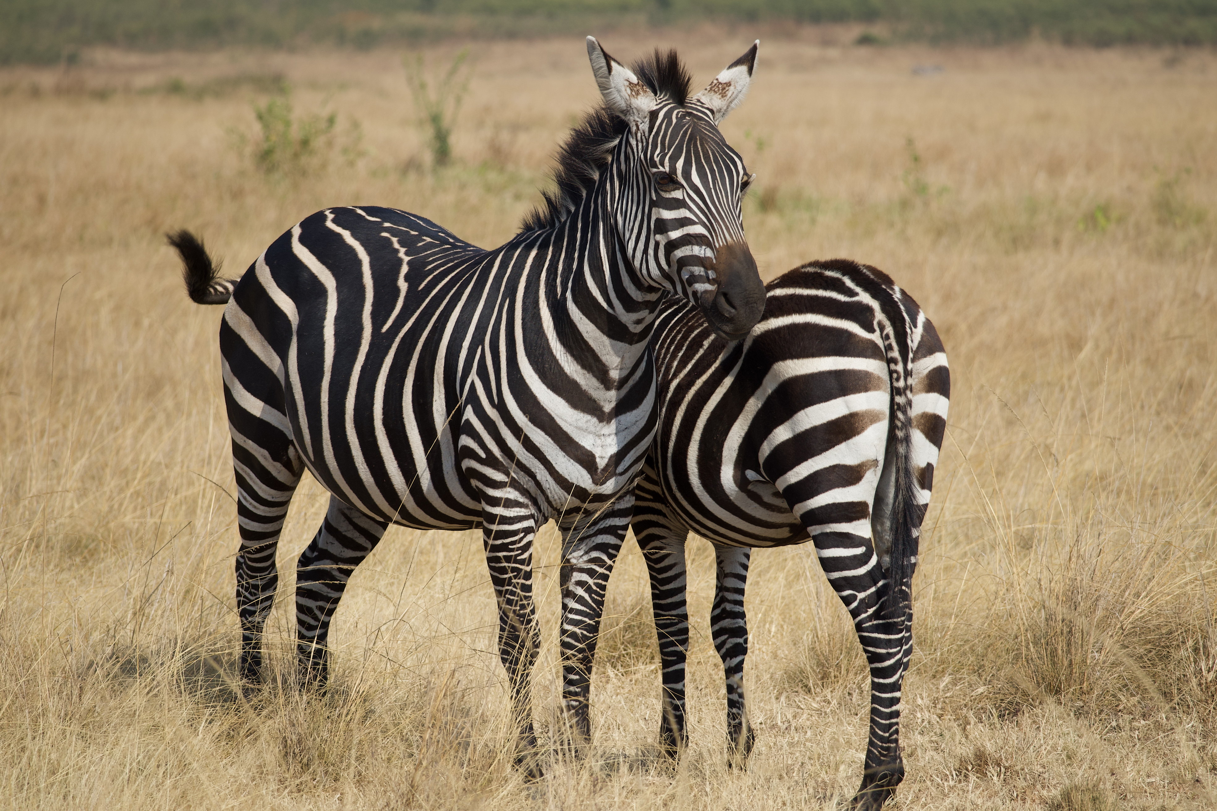 Desert to Water Wilderness Camping safari itinerary