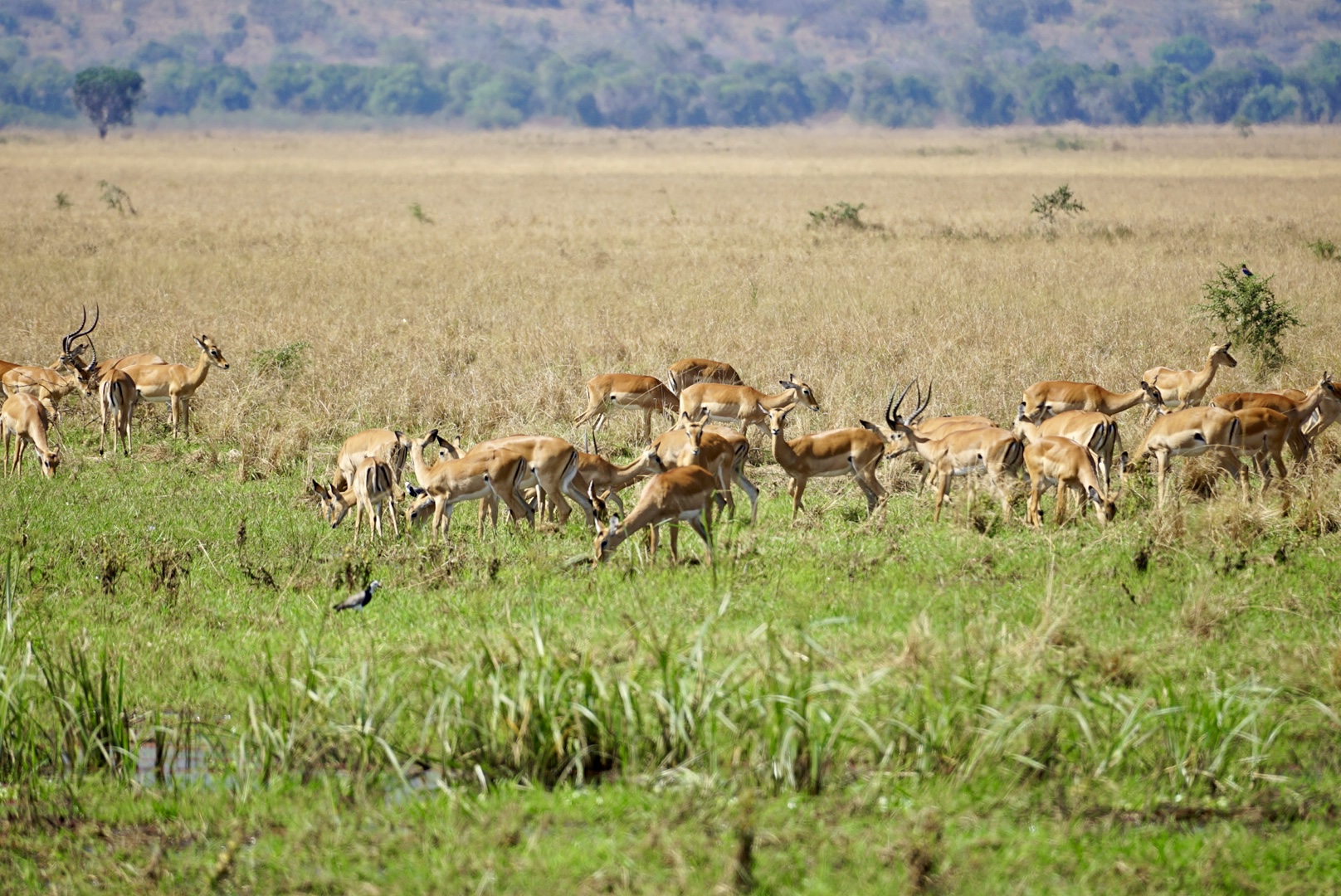 Okavango Crossing Wilderness Camping safari itinerary