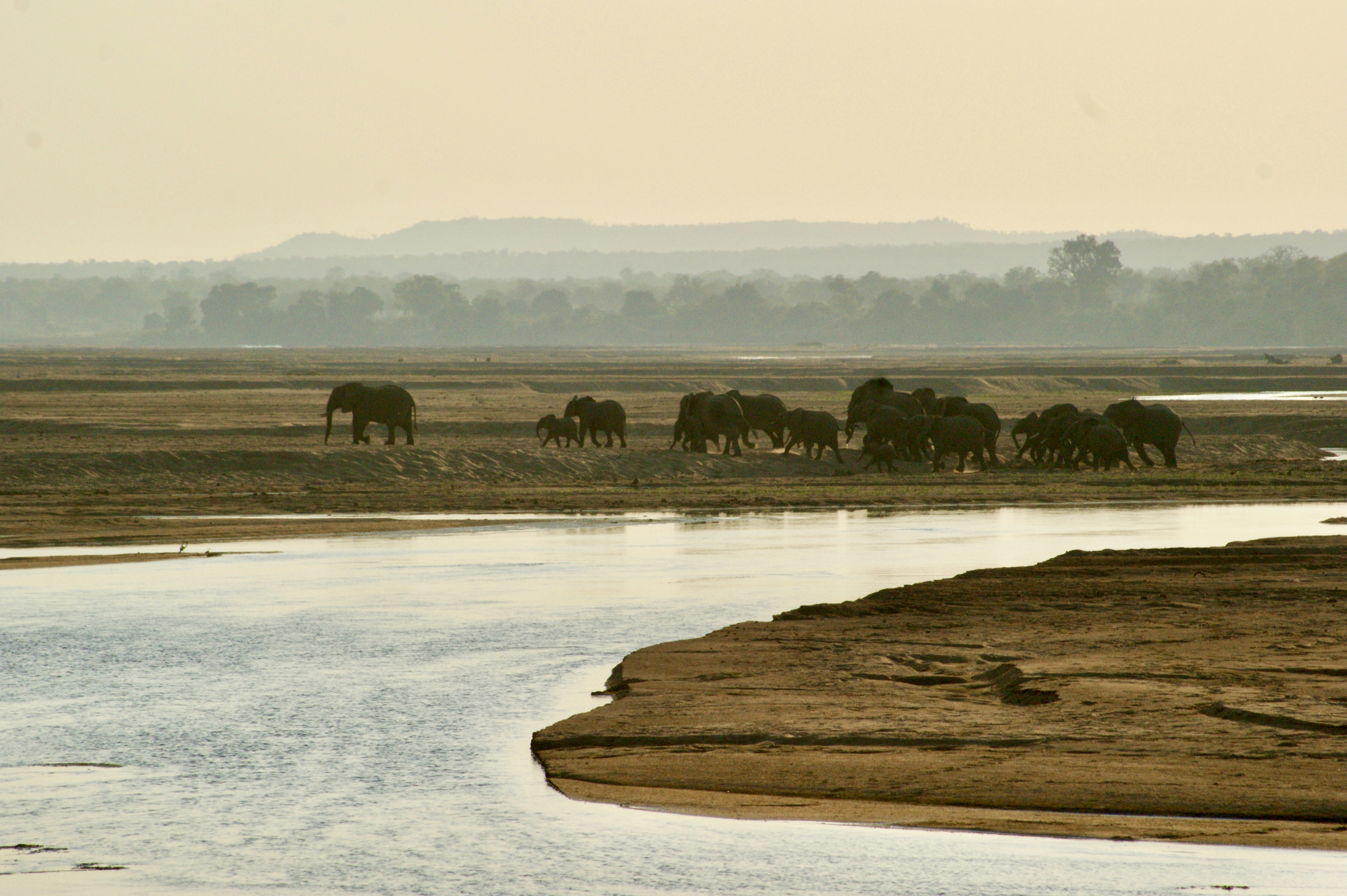 DAYS 16–19 – GONAREZHOU & LAKE KYLE – REMOTE AND UNTAMED