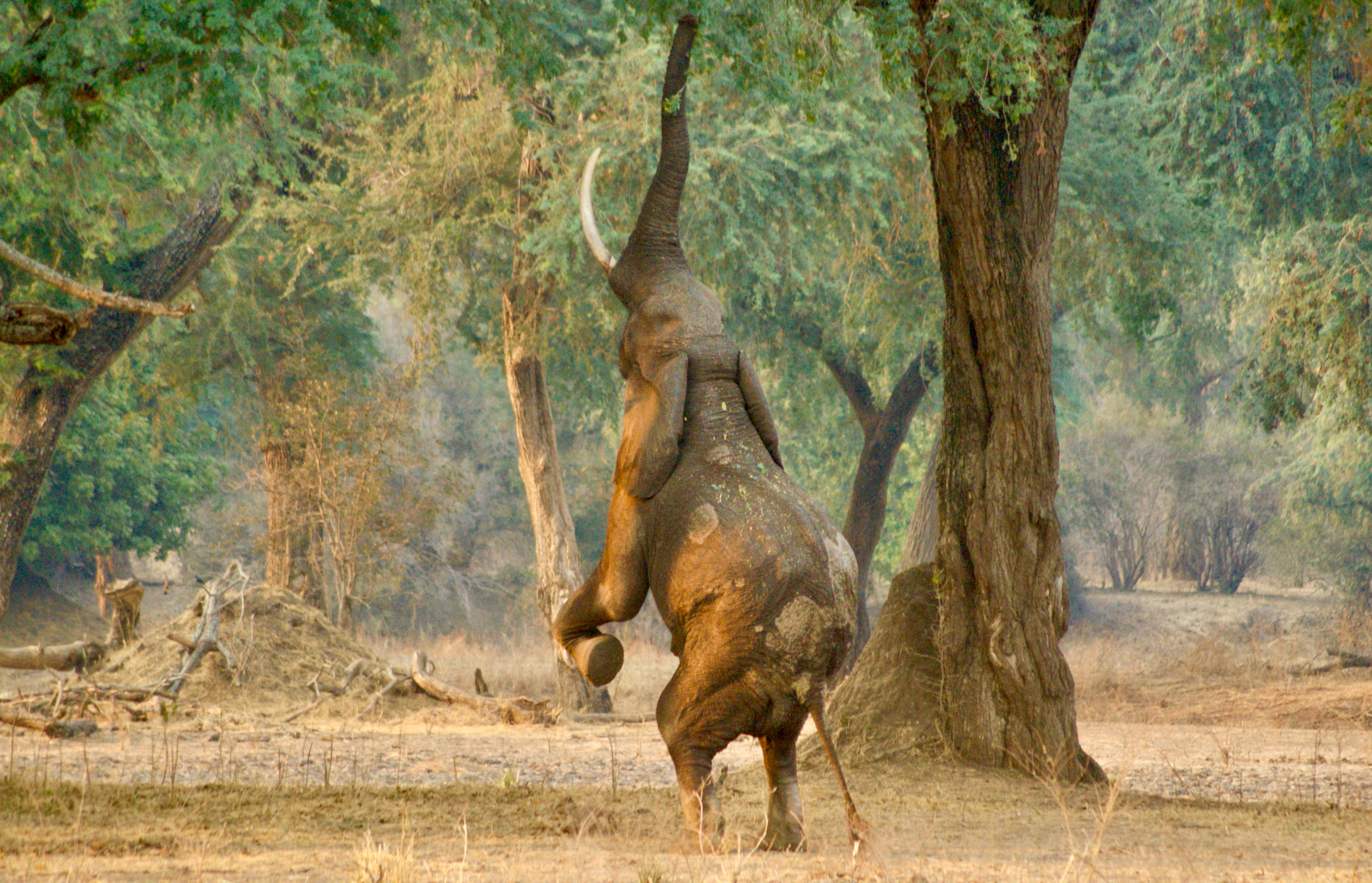 DAYS 2–5 – MANA POOLS – RAW FLOODPLAINS AND INTIMACY