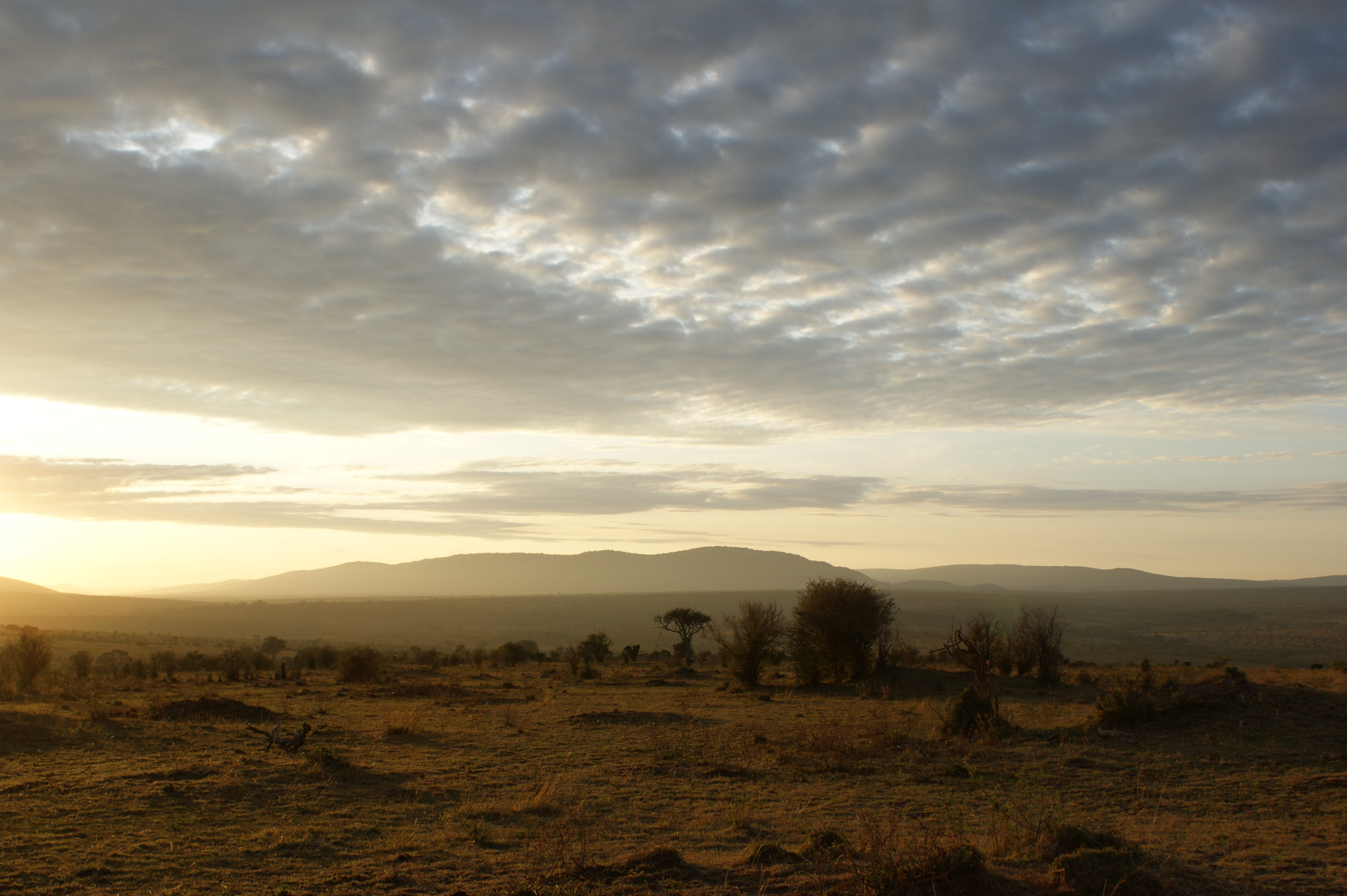 DAYS 14–15 – MATOBO – GRANITE HILLS AND ANCIENT LANDSCAPES