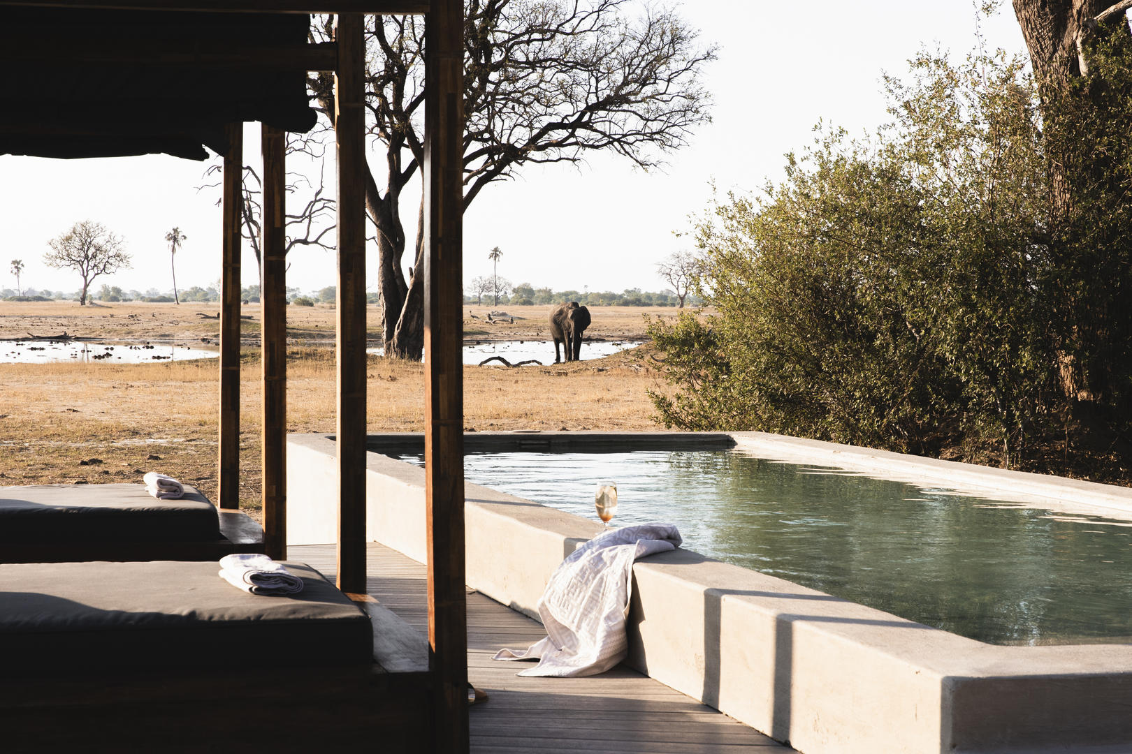 DAYS 10–13 – HWANGE – VAST PLAINS AND ELEPHANT COUNTRY