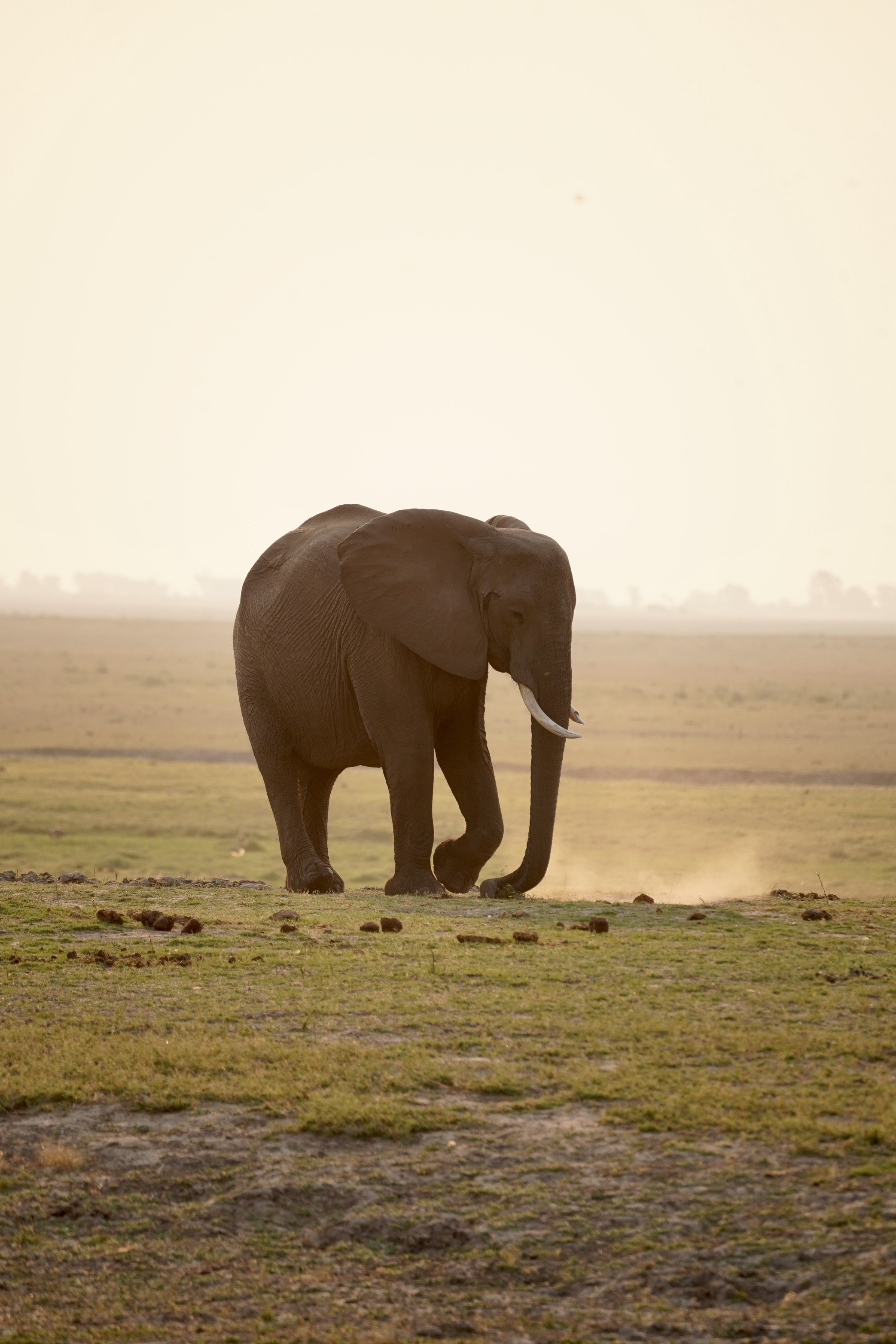 Okavango Crossing Luxury safari itinerary