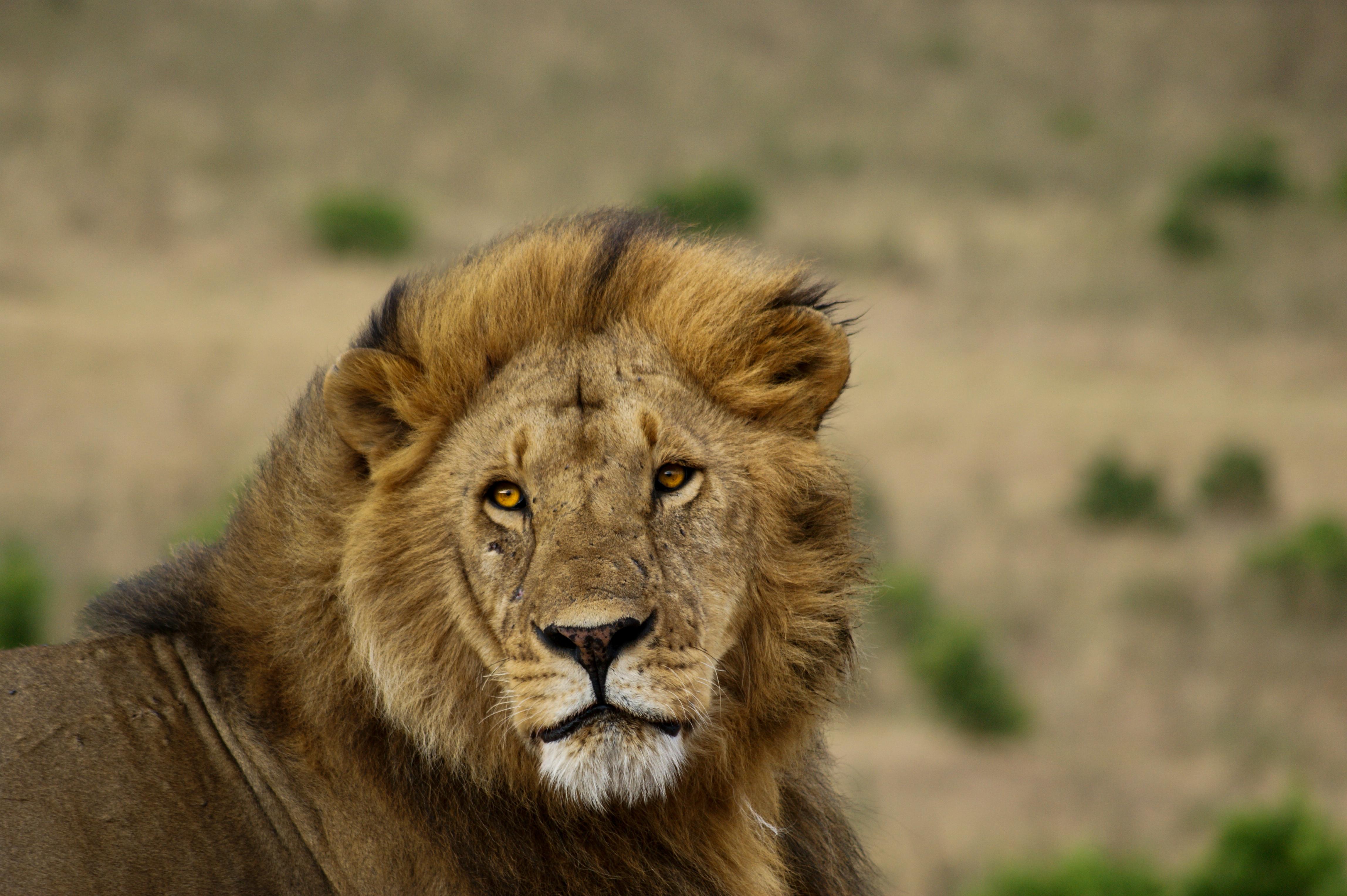 Day 14: Okonjima – Reflection in the Bush