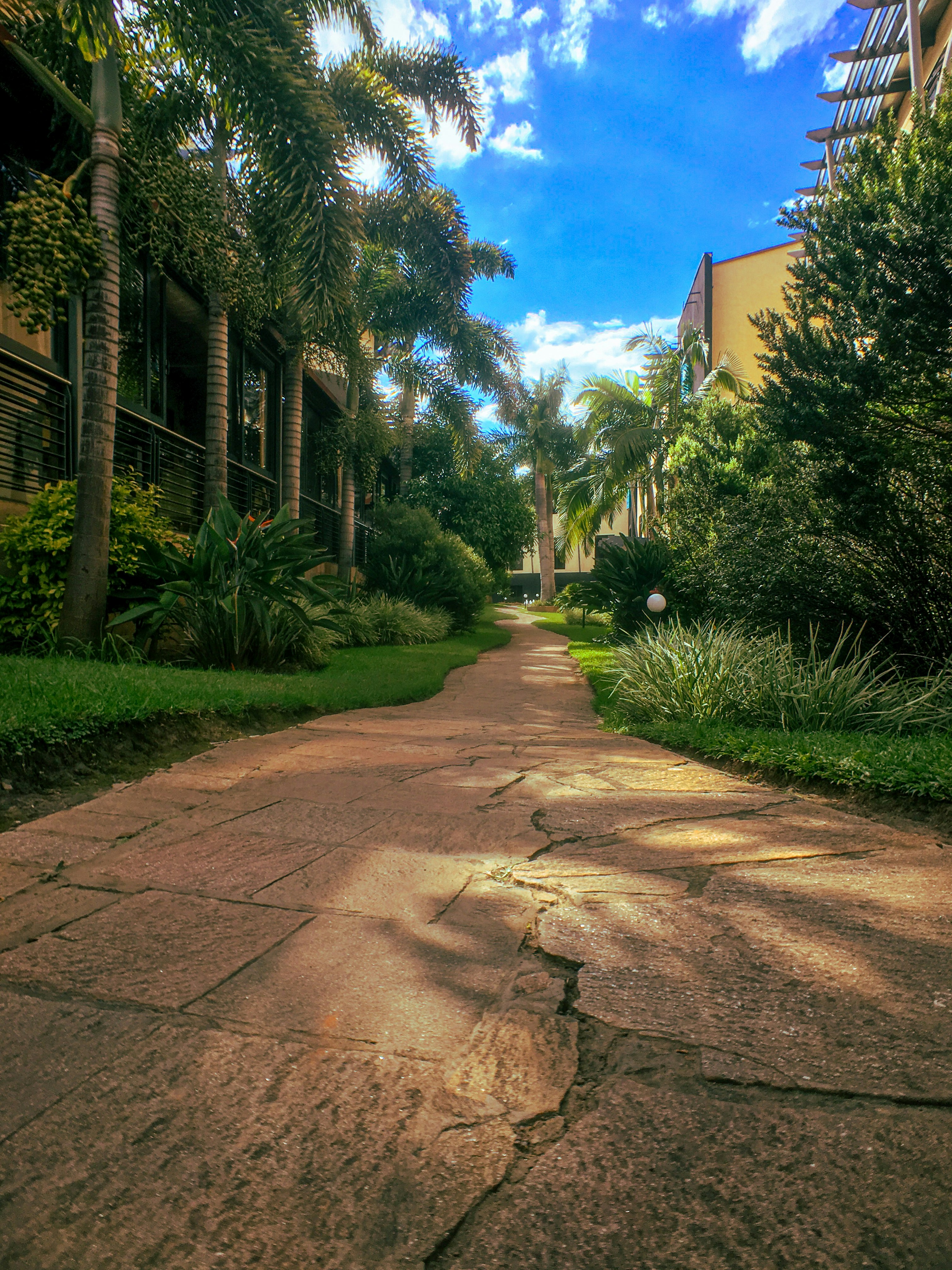 DAYS 1 – LUSAKA – A CALM BEGINNING