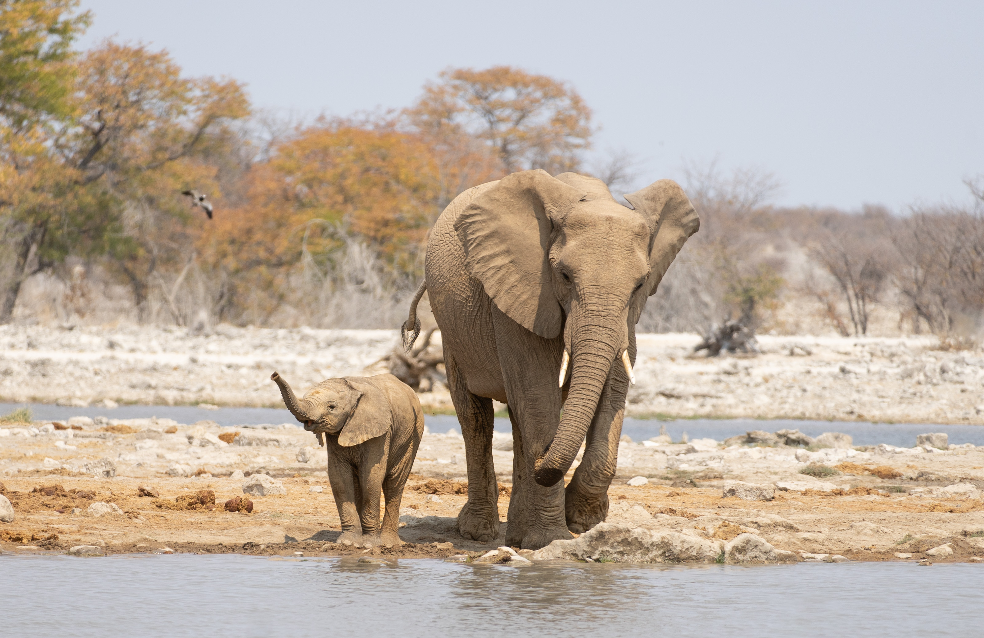 Ultimate Wilderness Camping Namibia safari itinerary